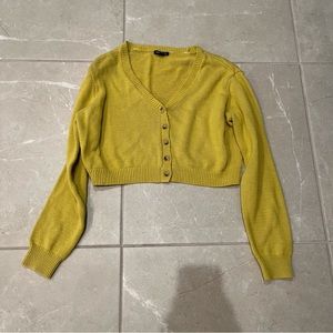 Target Wild Fable chartreuse sweater